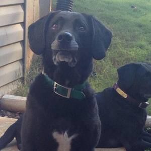 Meet your Posher, Kell